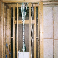 49789604